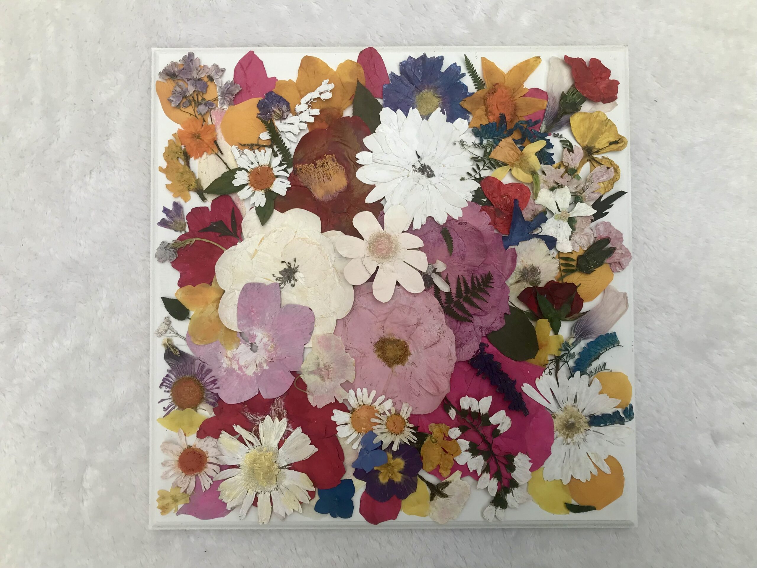 FLORAL ABUNDANCE 6x6 in